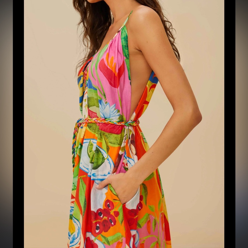 FARM RIO Multicolor Summer Picnic Midi Dress - Picture 4 of 9